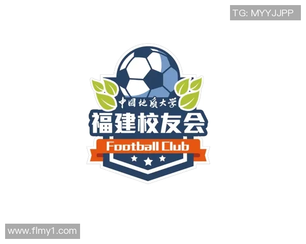 成都足球队运营新模式分析与发展前景探讨MBA